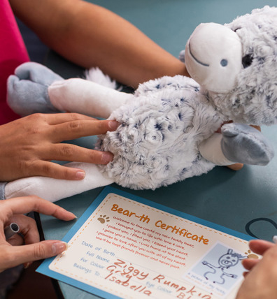 Finlake Build A Bear Certificate