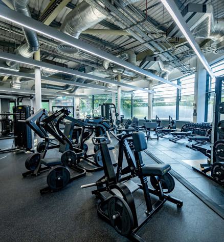 Finlake Gym Equipment